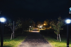 DSC00678