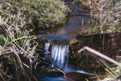 DSC01142