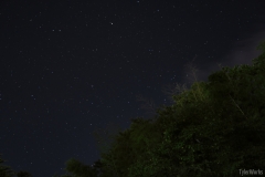 DSC01216