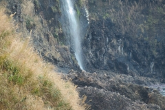 DSC01325