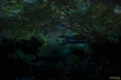 DSC01355
