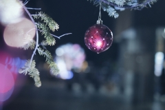 DSC01948