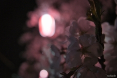DSC02045