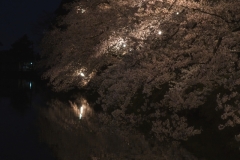DSC02271