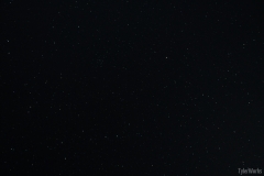 DSC02334