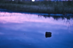 DSC02490