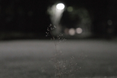 DSC03004