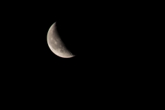 DSC03020