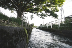 DSC03063