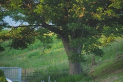 DSC03069