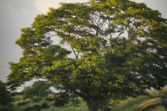 DSC03072