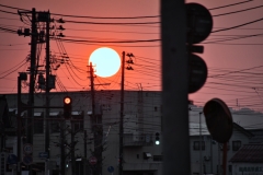 DSC06257