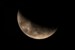 DSC07615