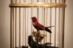DSC07998