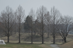 DSC08051
