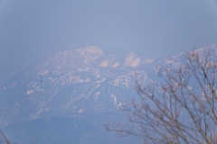 DSC08057