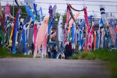 DSC08116